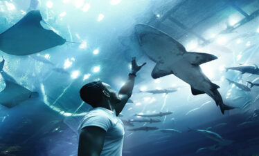 Dubai aquarium