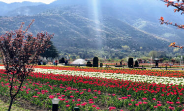 cheshma garden