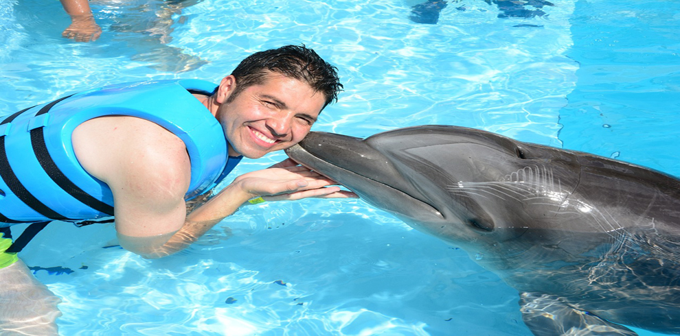 dolphin show