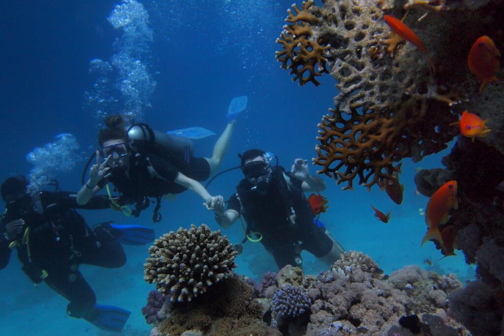 Skuba Diving