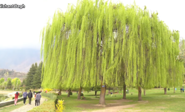 Nishant Bagh