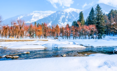 Kashmir